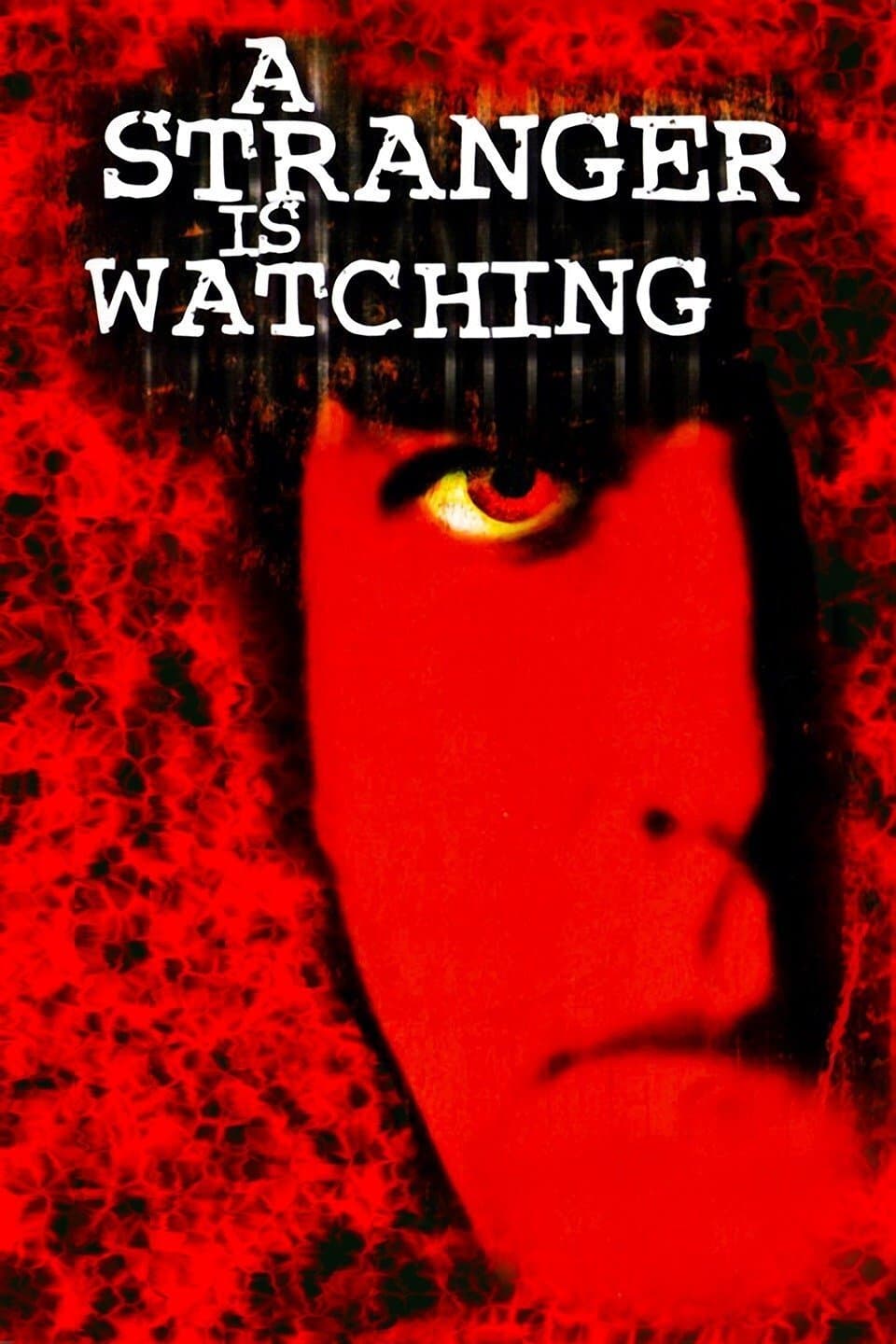 Poster A Stranger Is Watching