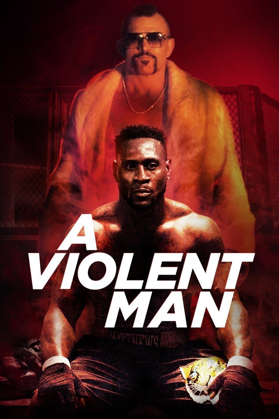 Poster A Violent Man