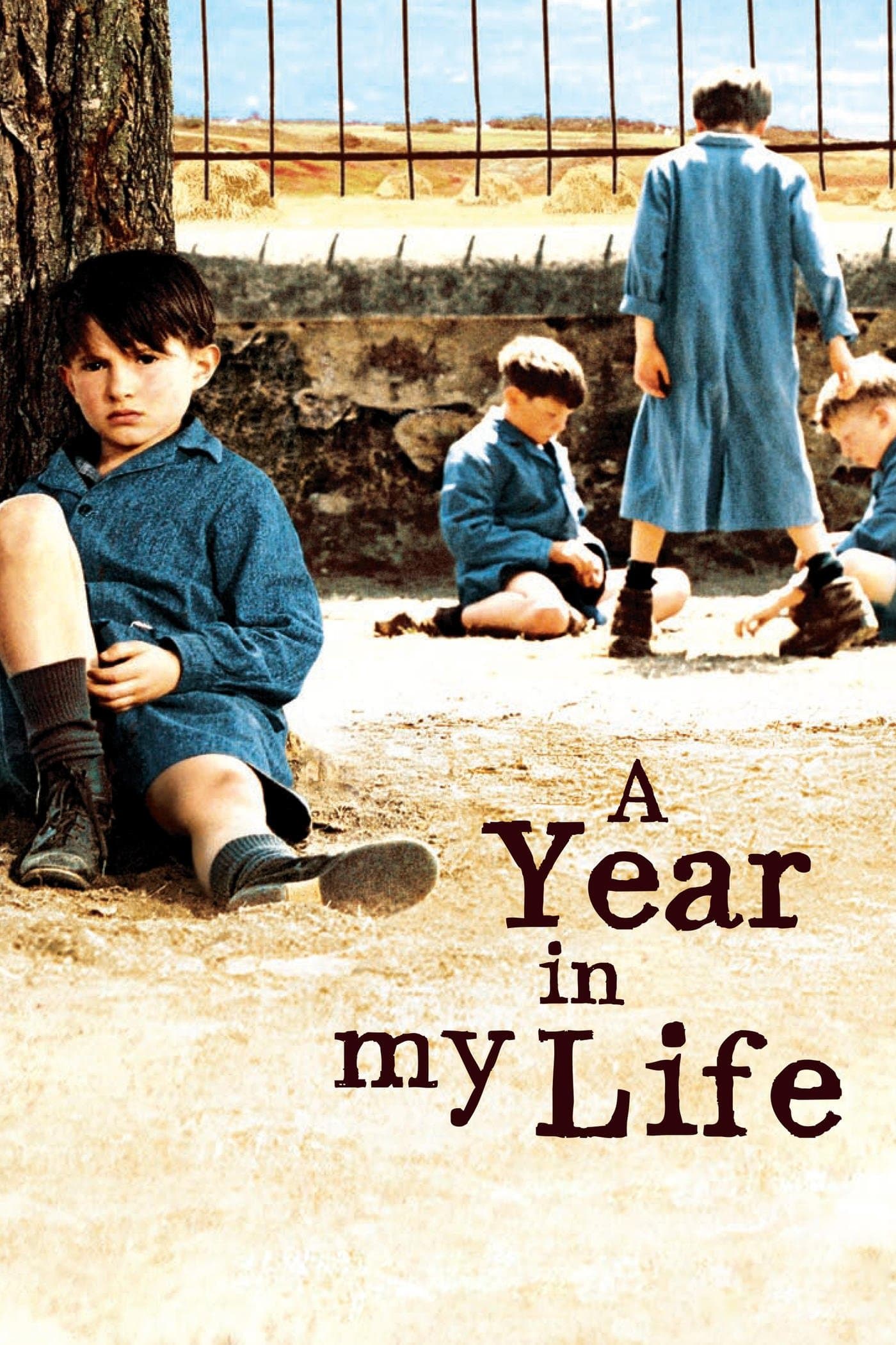 Poster A Year in My Life
