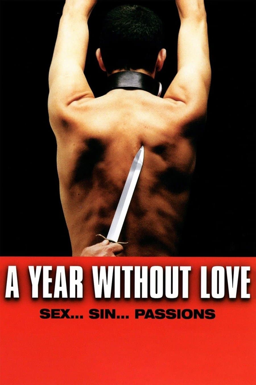 Poster A Year Without Love