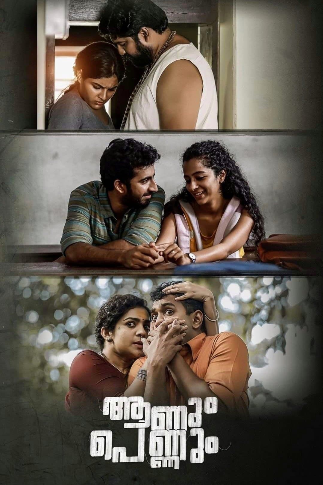 Poster Aanum Pennum