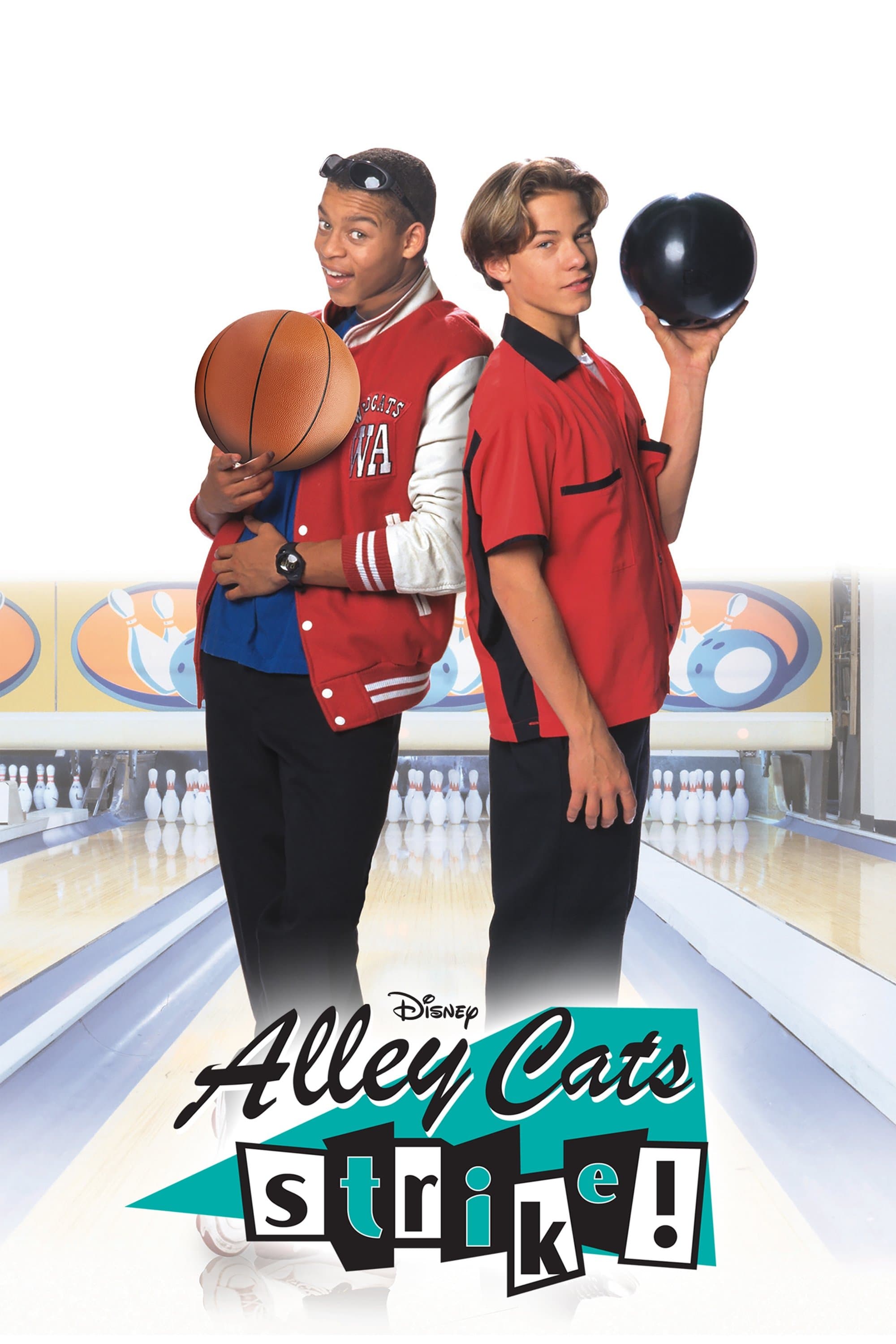 Poster Alley Cats Strike
