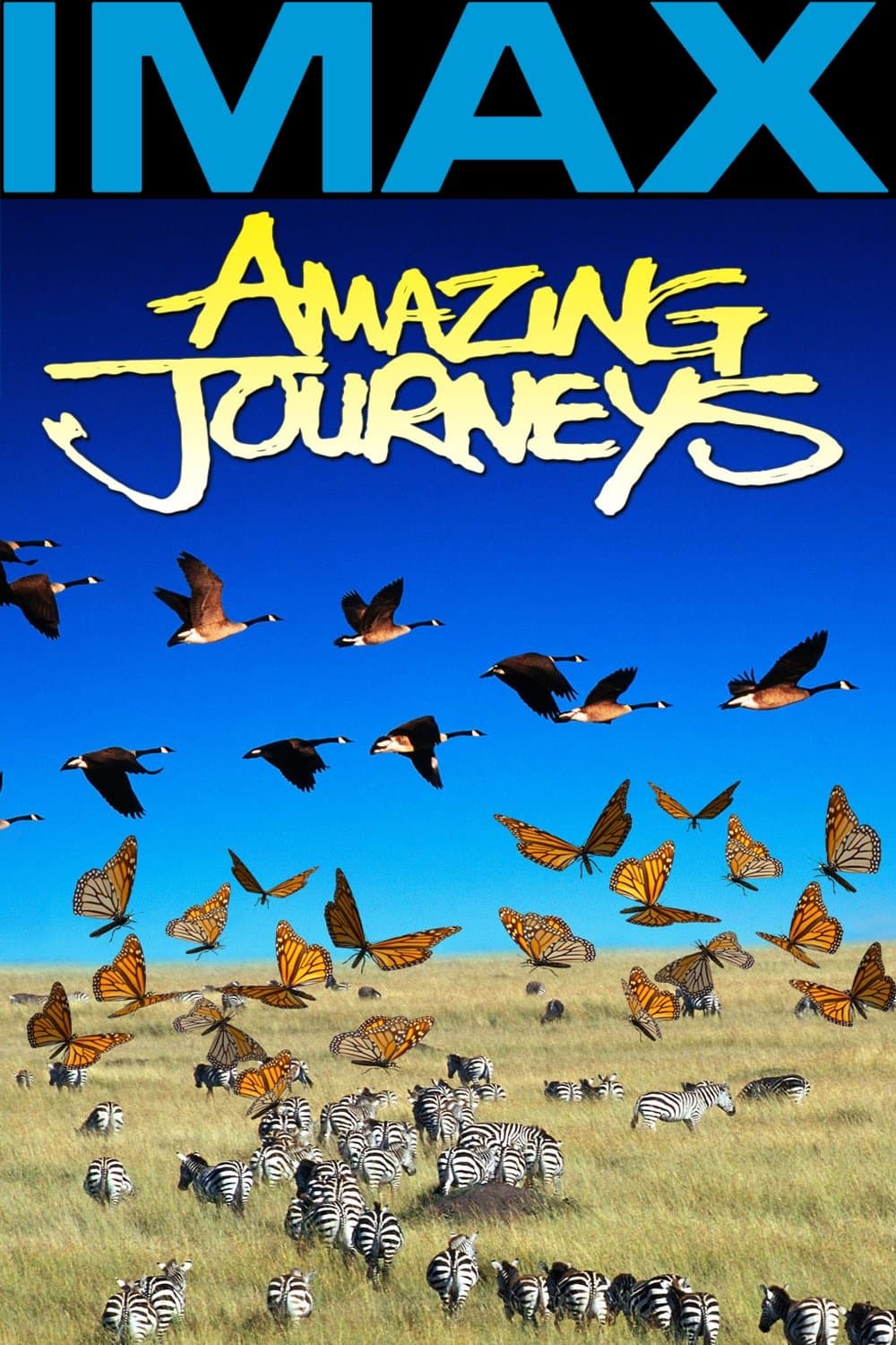 Poster Amazing Journeys