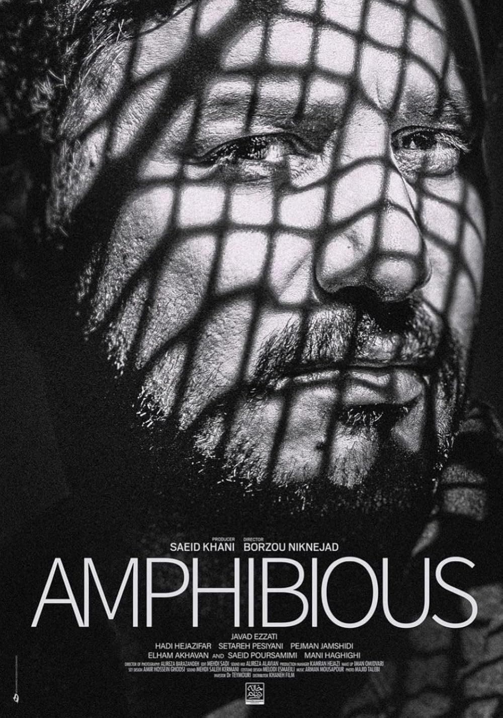 Poster Amphibious
