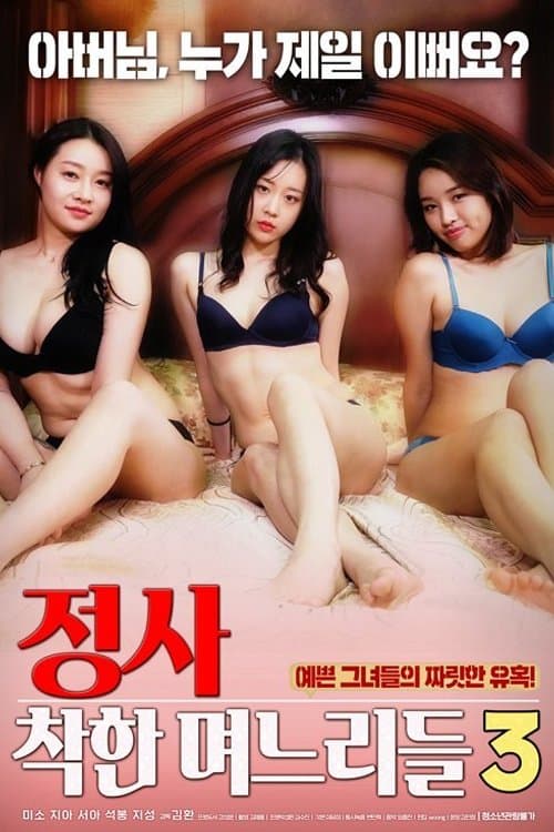 Poster An Affair: Kind Daughters-in-law 3