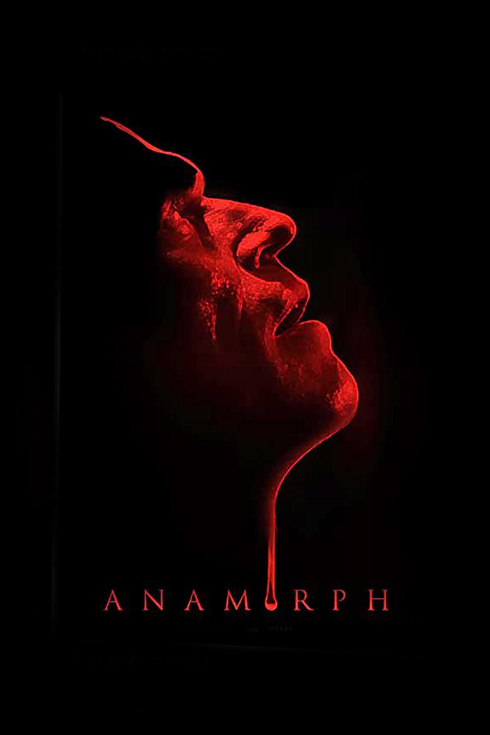 Poster Anamorph