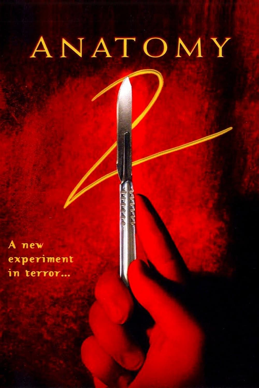 Poster Anatomy 2