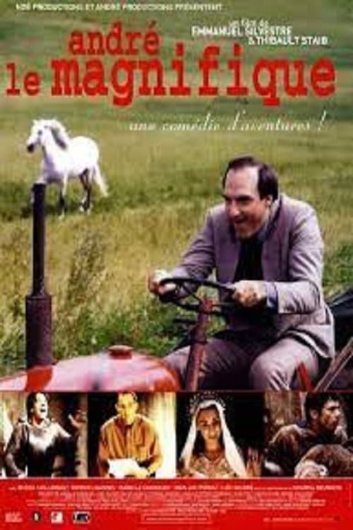 Poster André le magnifique