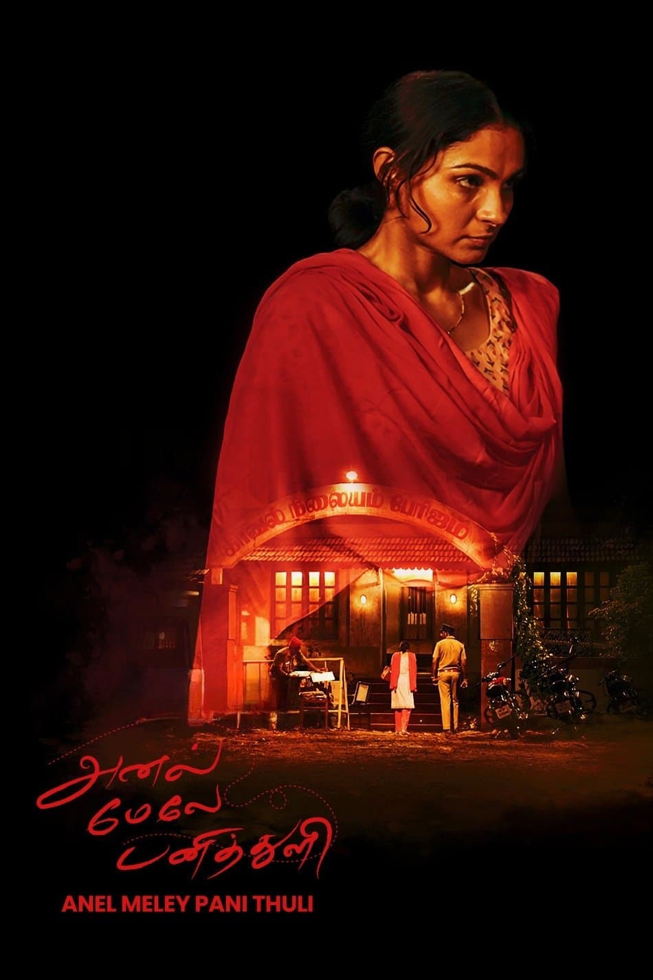 Poster Anel Meley Pani Thuli