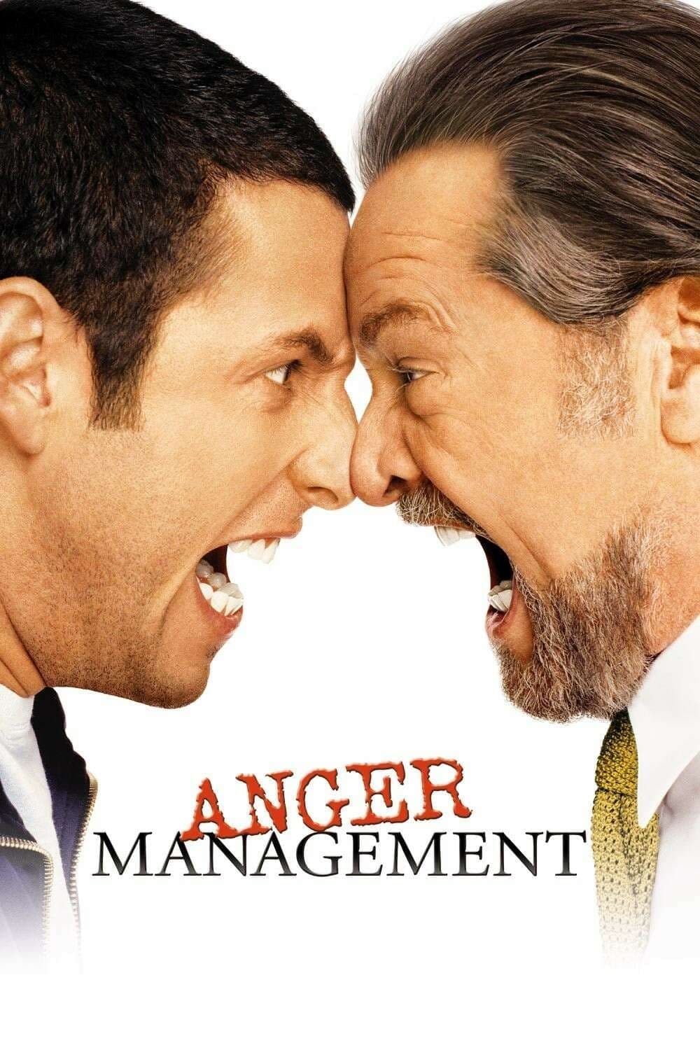 Poster Anger Management