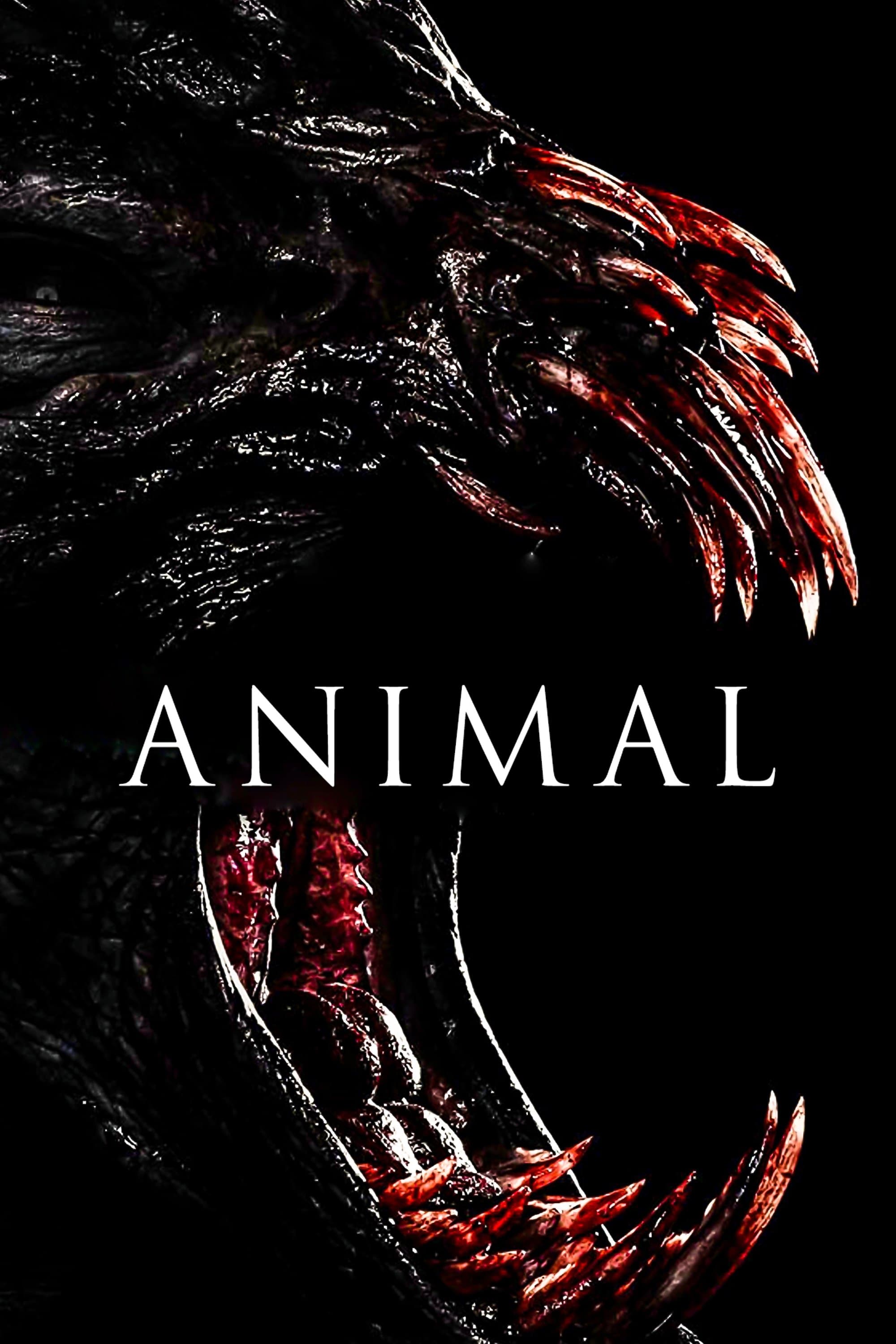 Poster Animal