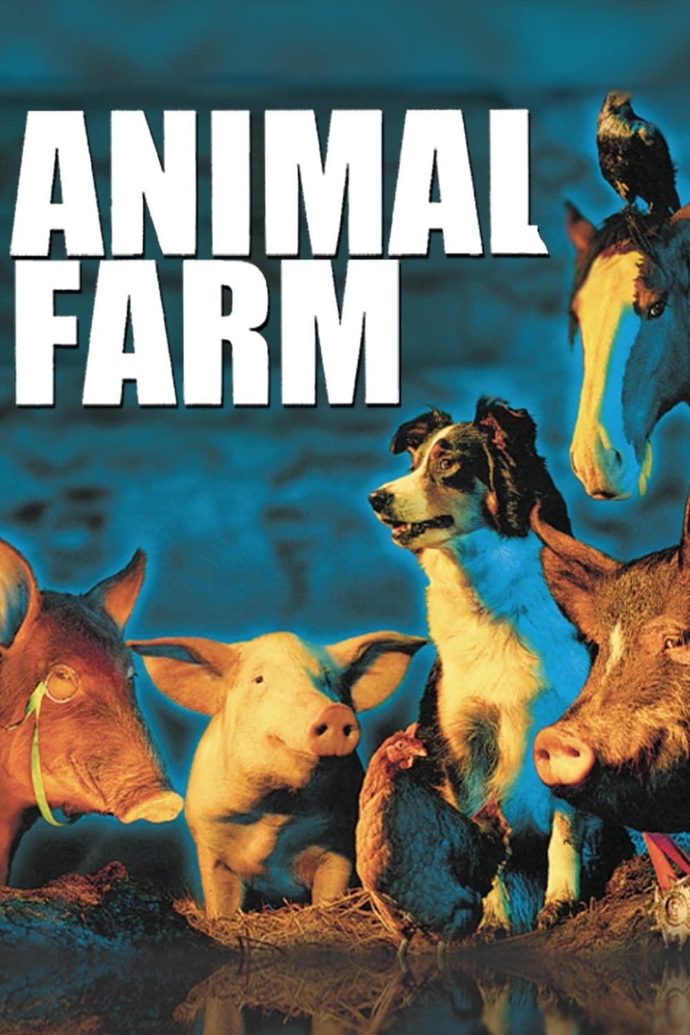 Poster Animal Farm