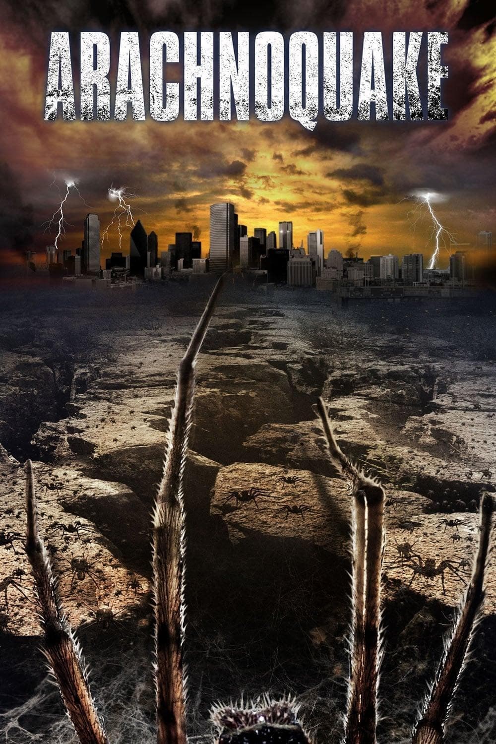 Poster Arachnoquake