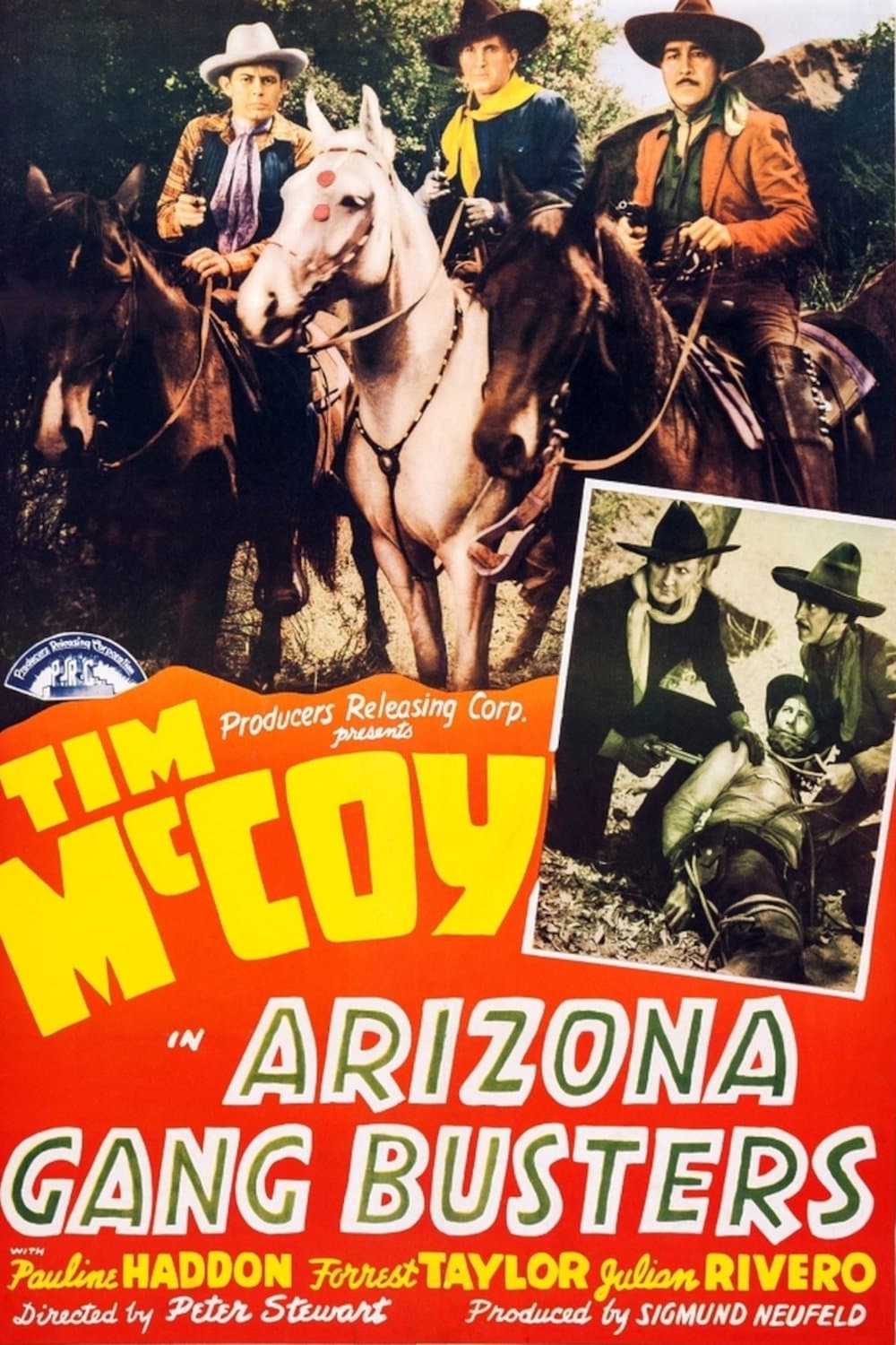 Poster Arizona Gang Busters