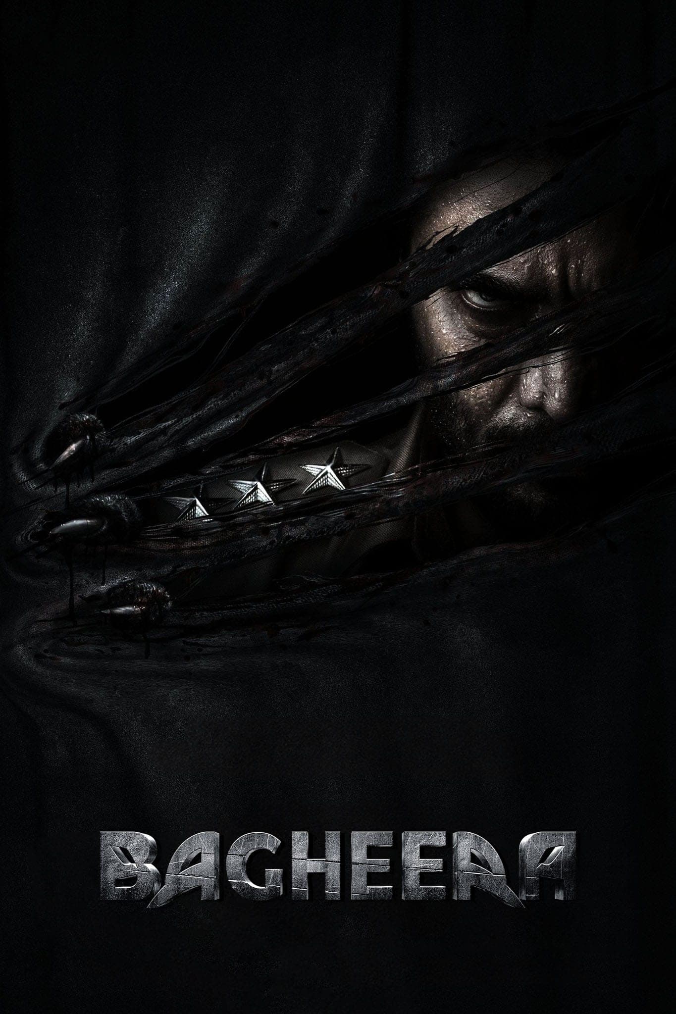 Poster Bagheera