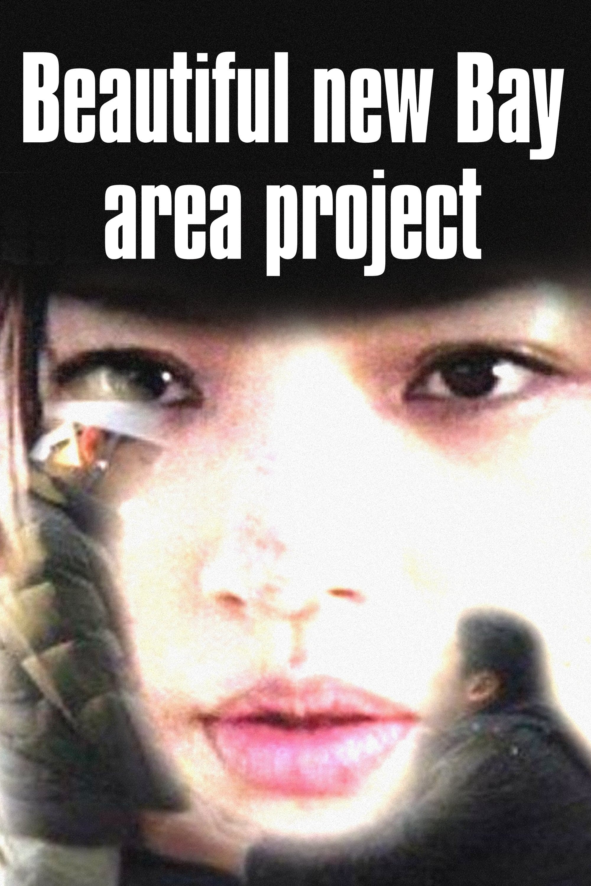 Poster Beautiful New Bay Area Project