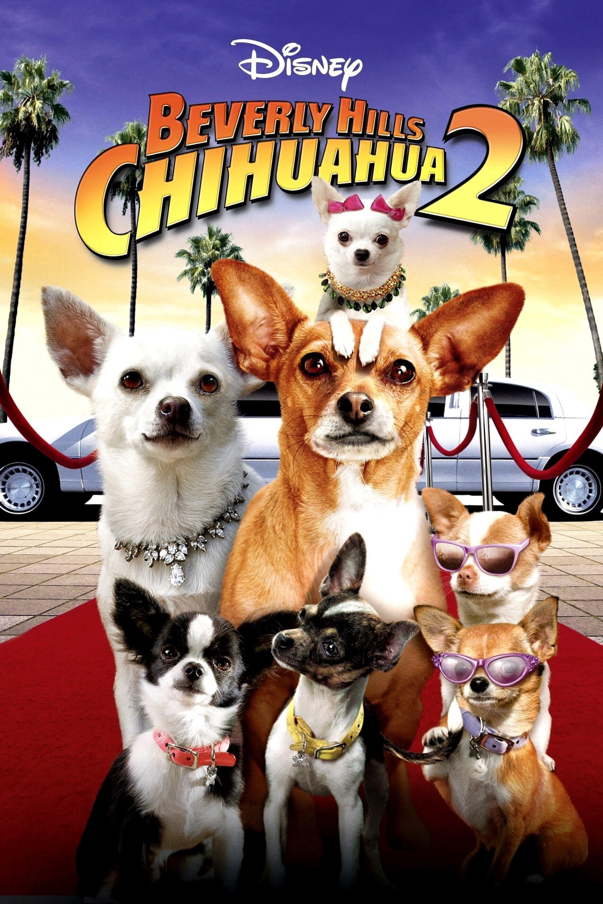 Poster Beverly Hills Chihuahua 2