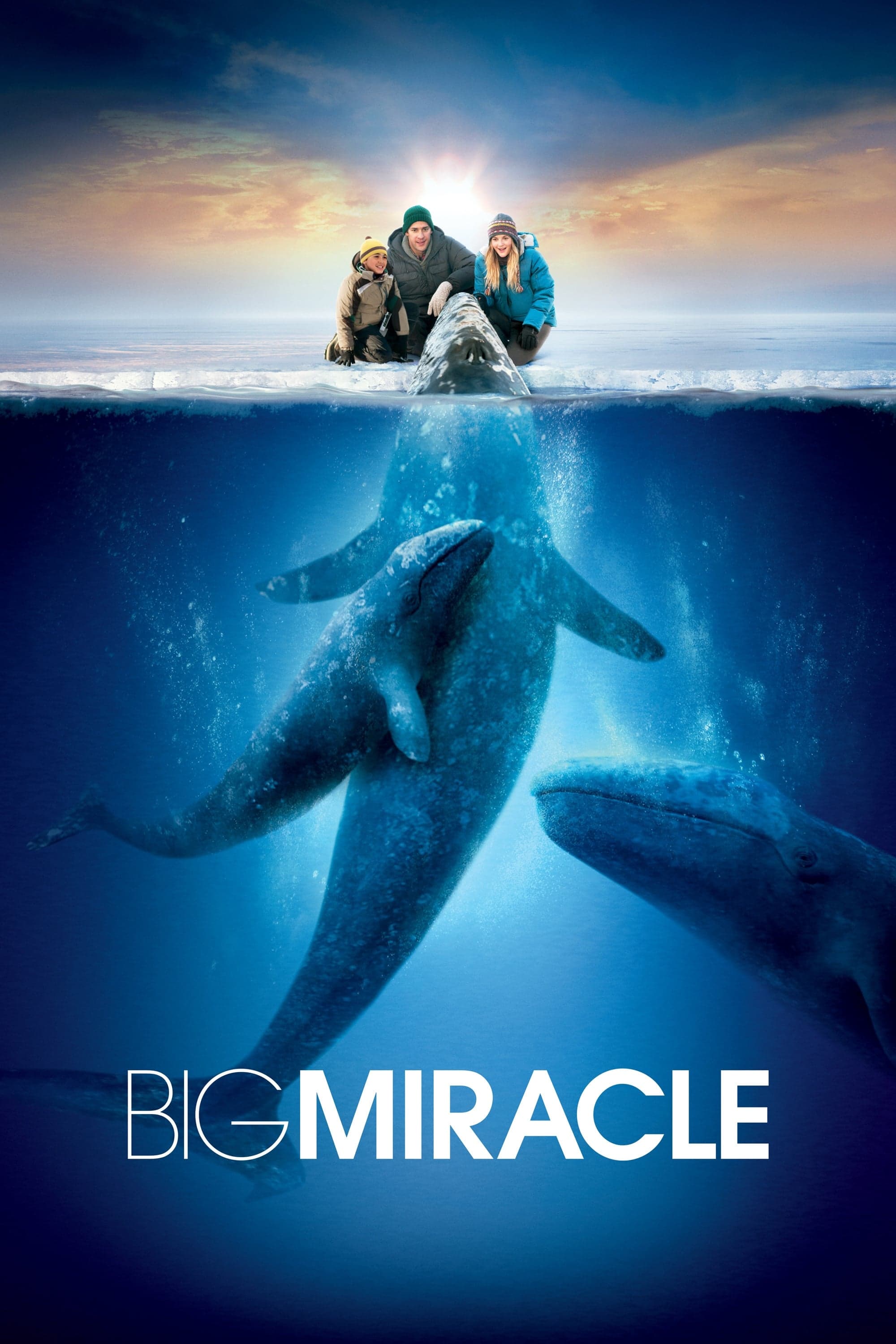 Poster Big Miracle