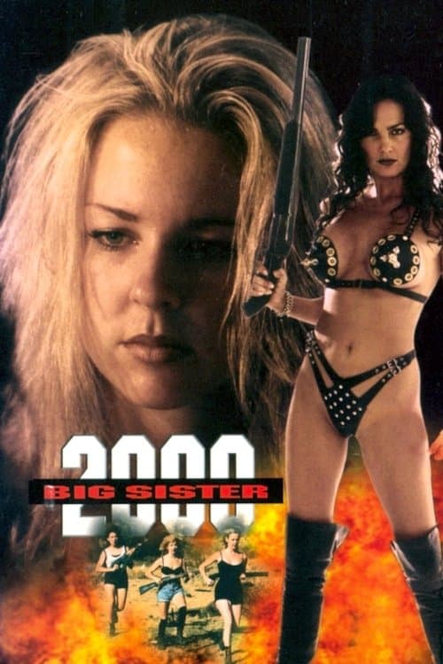 Poster Big Sister 2000