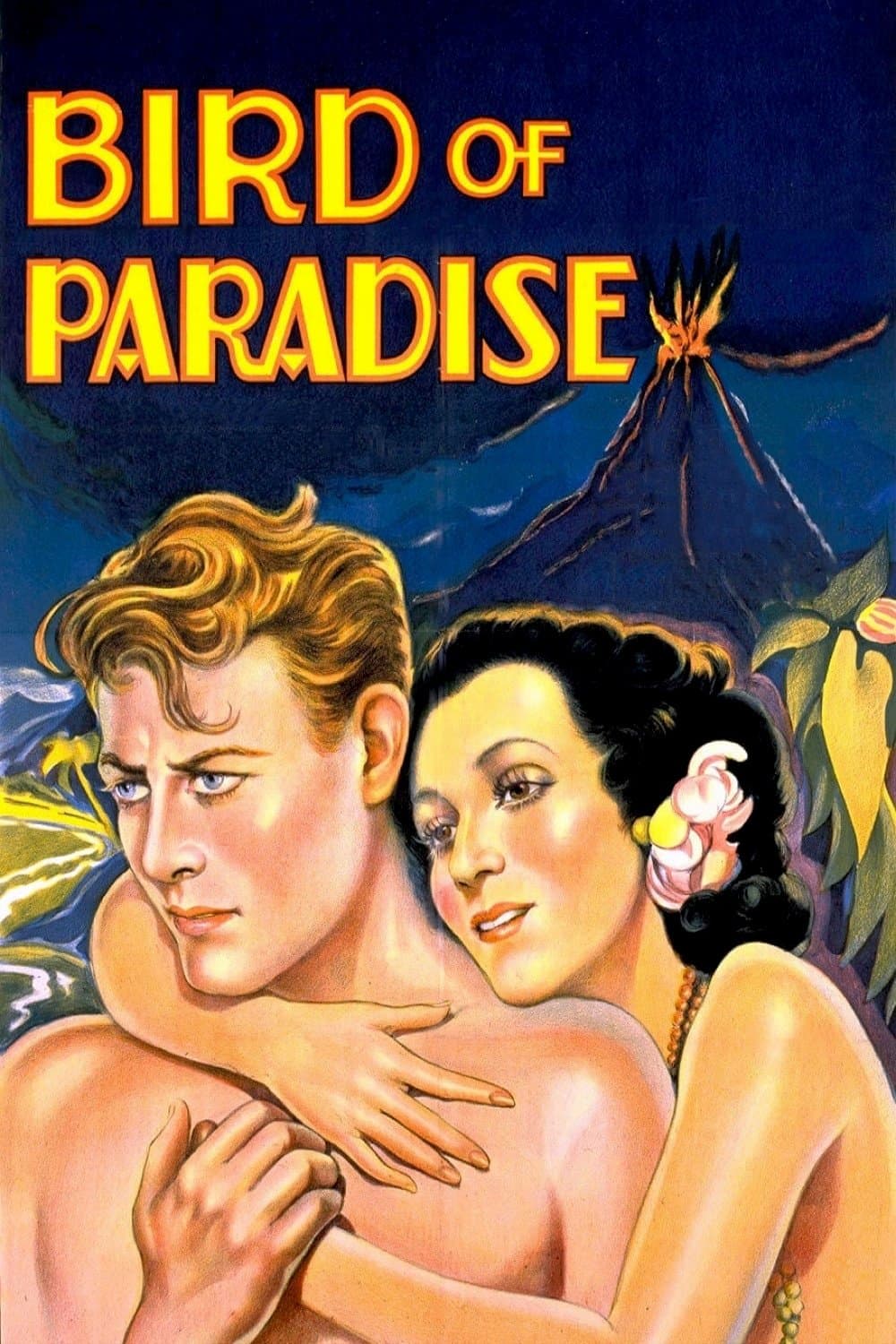 Poster Bird of Paradise