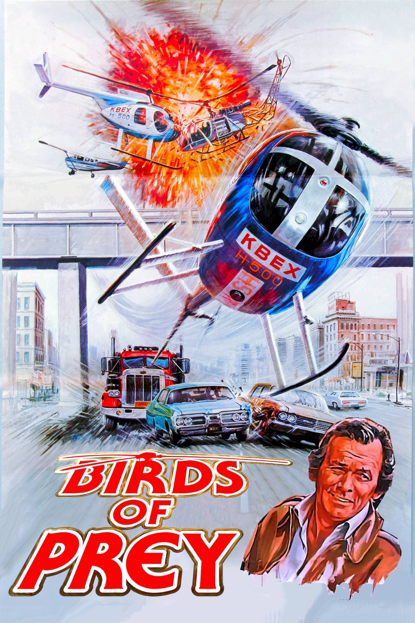 Poster Birds of Prey