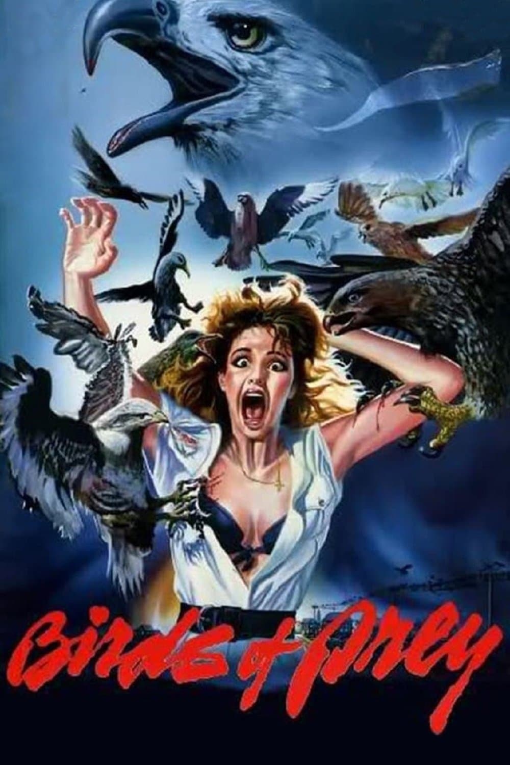 Poster Birds of Prey