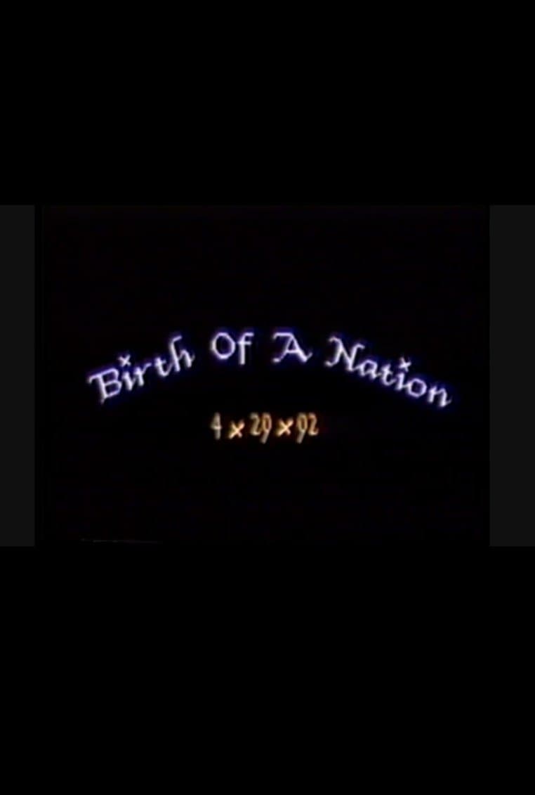 Poster Birth of a Nation: 4.29.92
