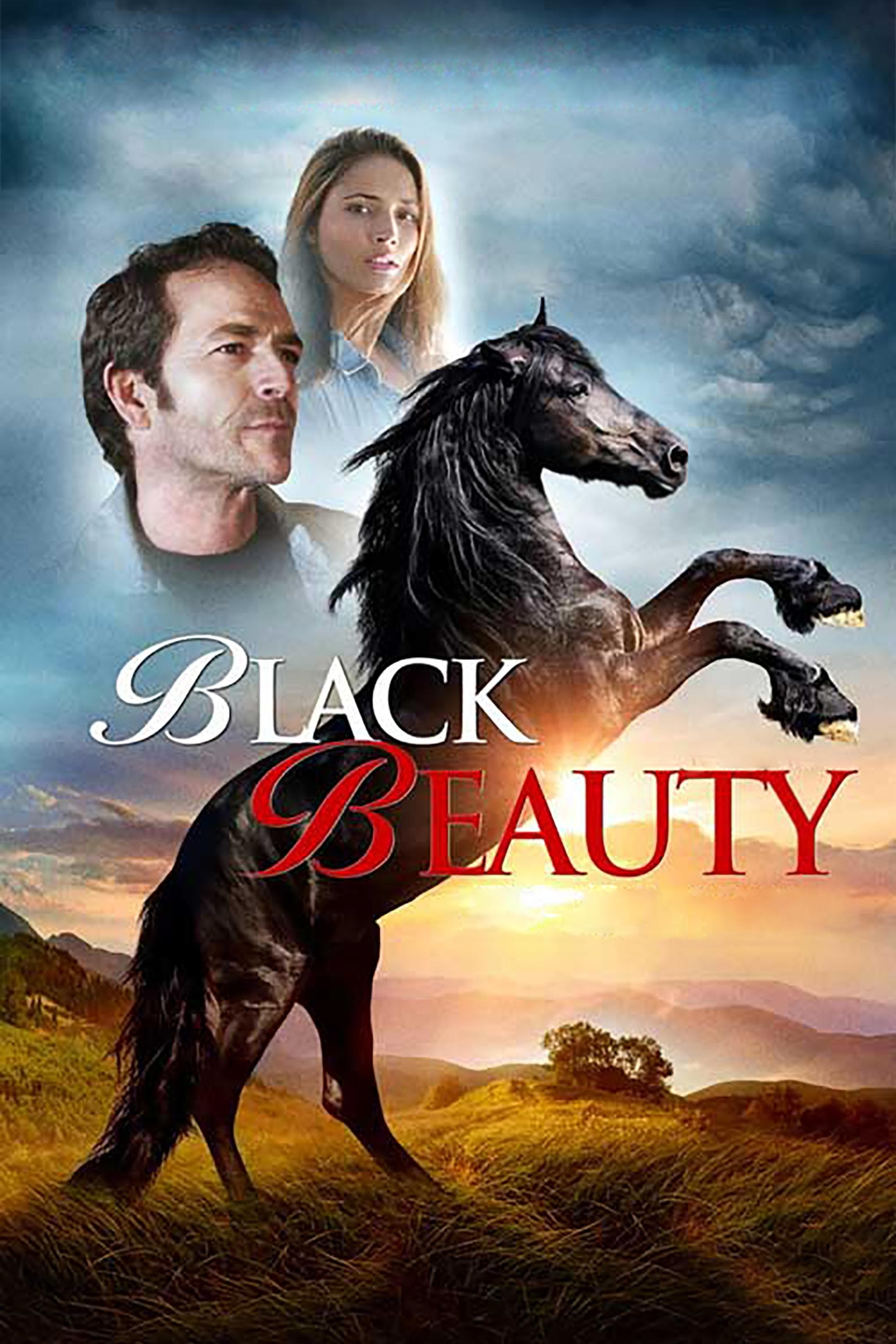 Poster Black Beauty