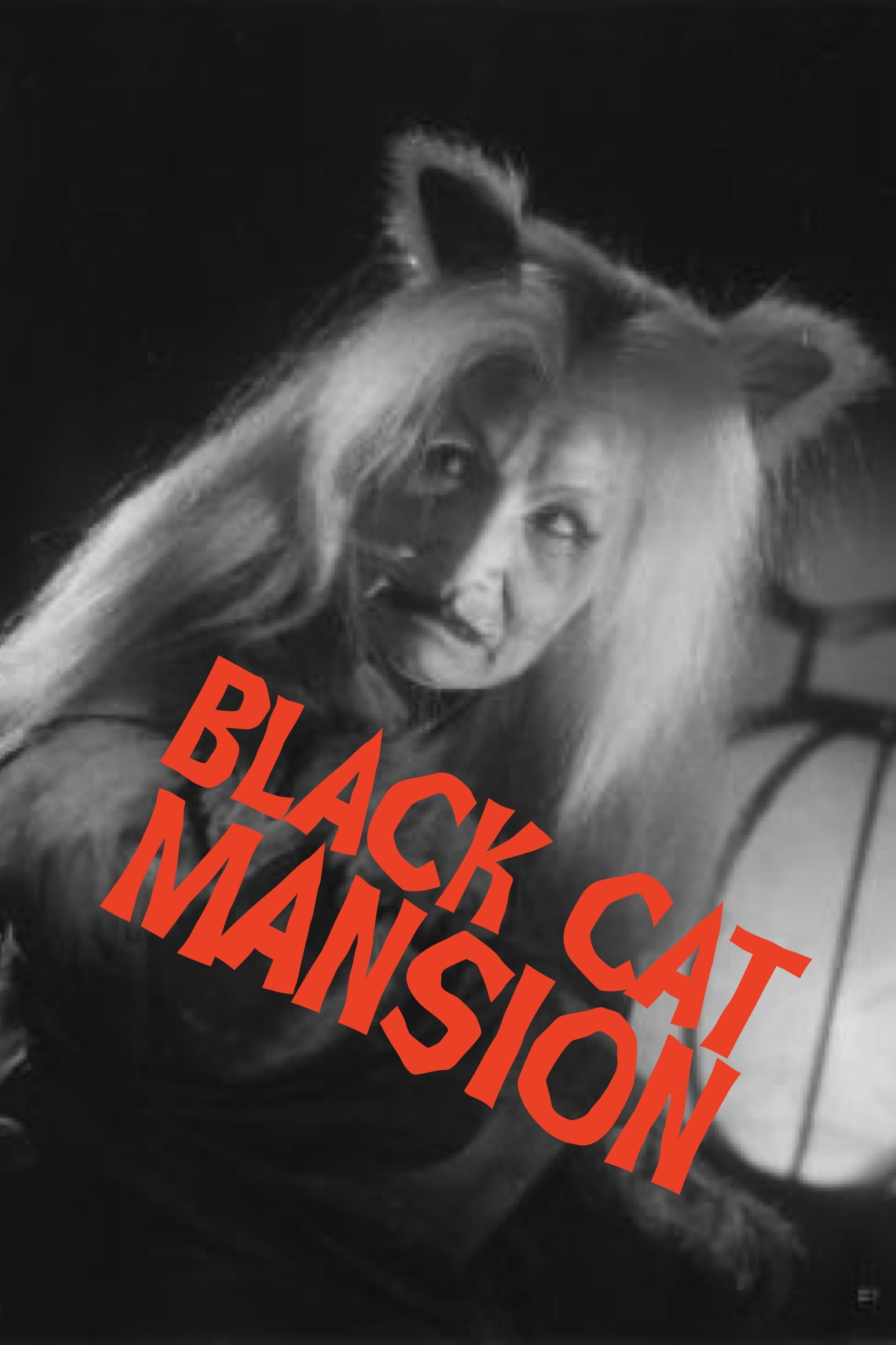 Poster Black Cat Mansion