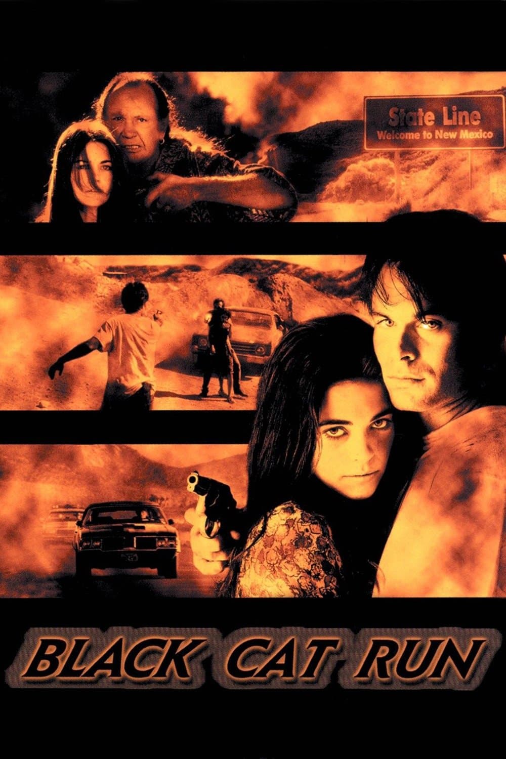 Poster Black Cat Run