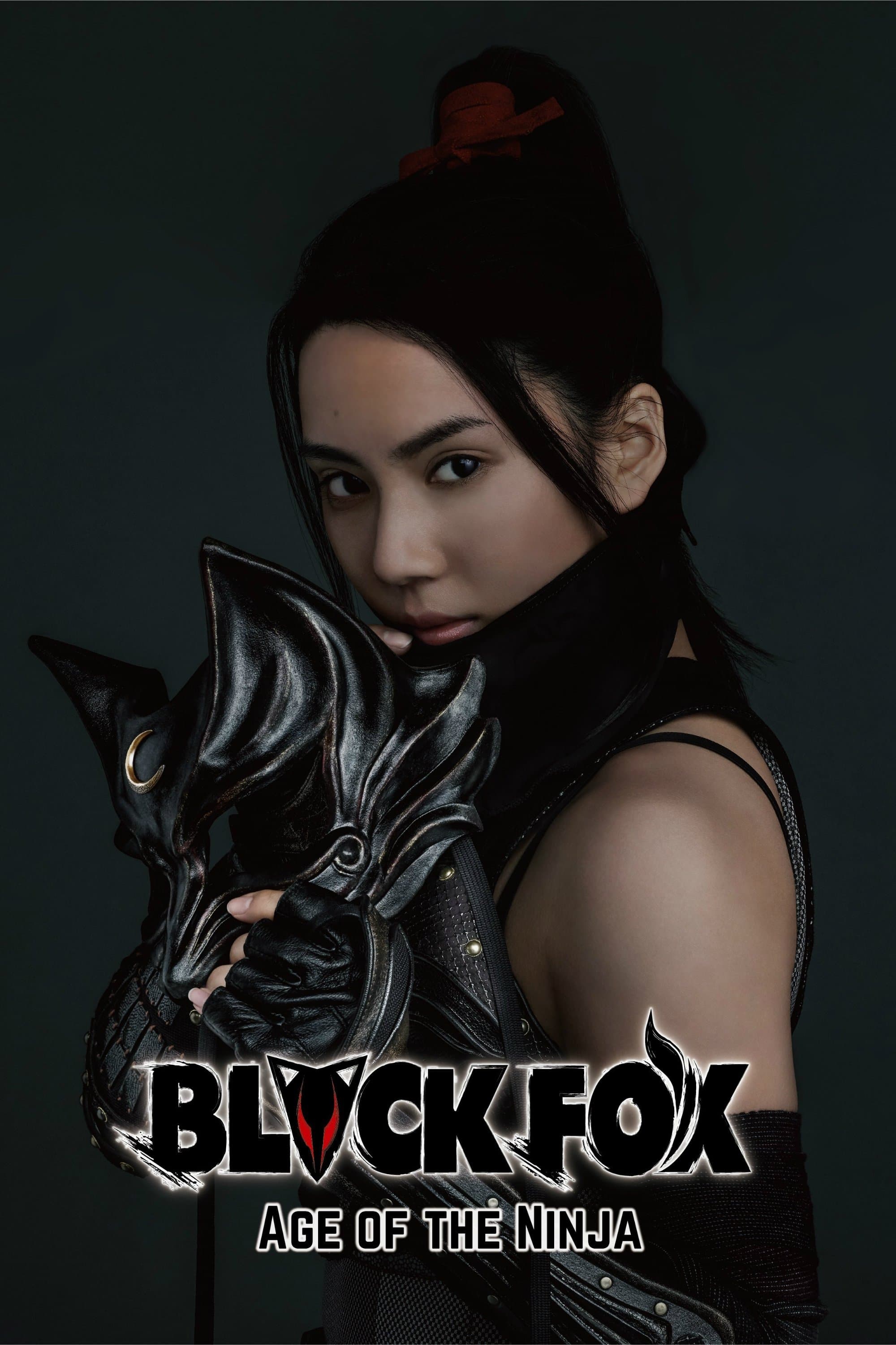 Poster Black Fox: Age of the Ninja