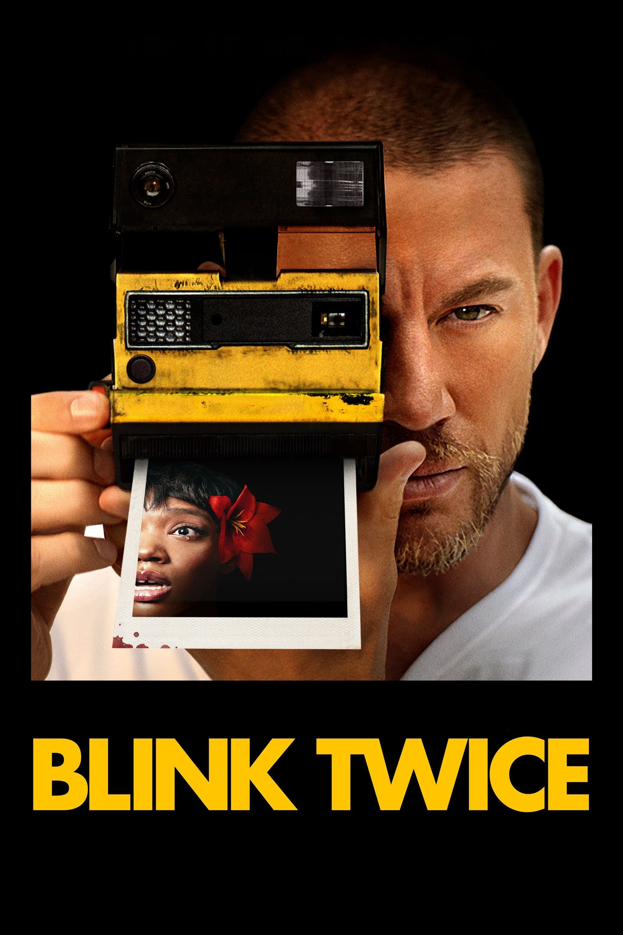 Poster Blink Twice
