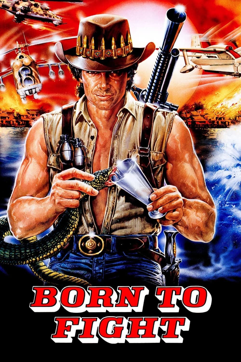 Poster Born to Fight