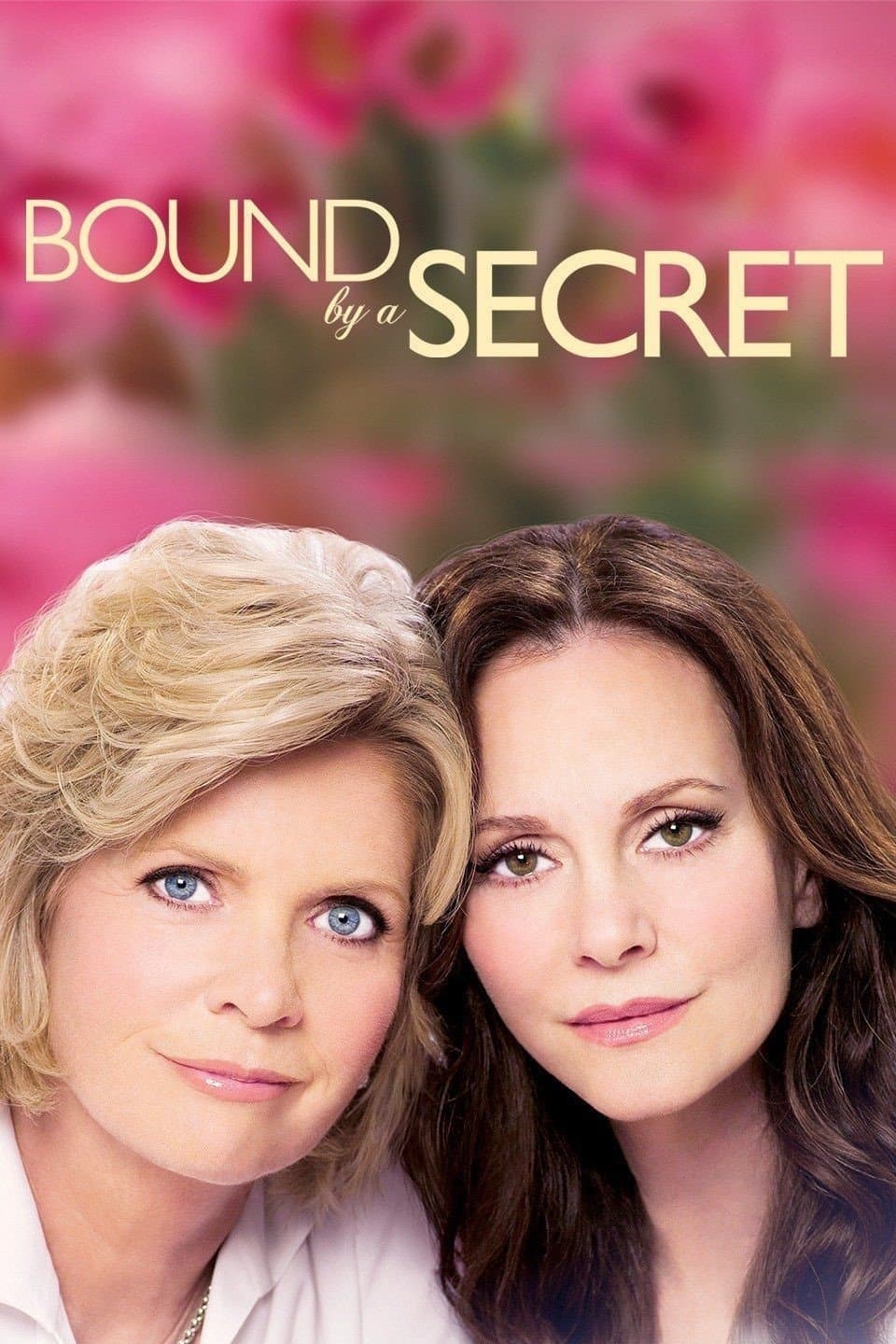 Poster Bound By a Secret
