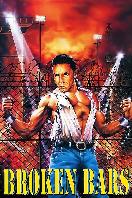 Poster Broken Bars