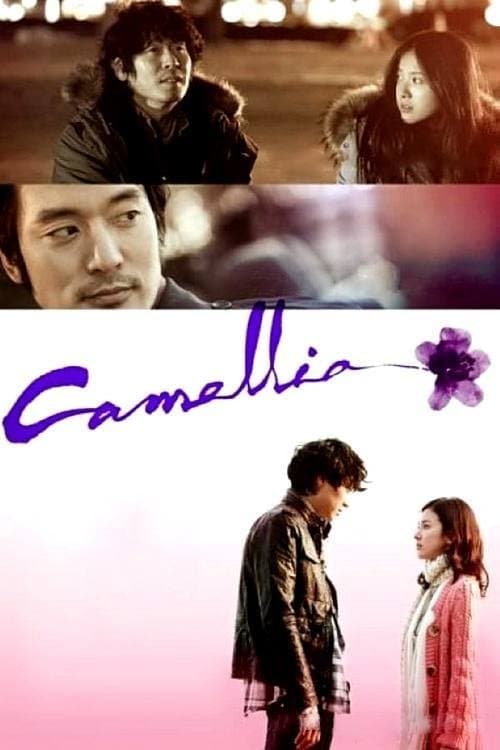 Poster Camellia