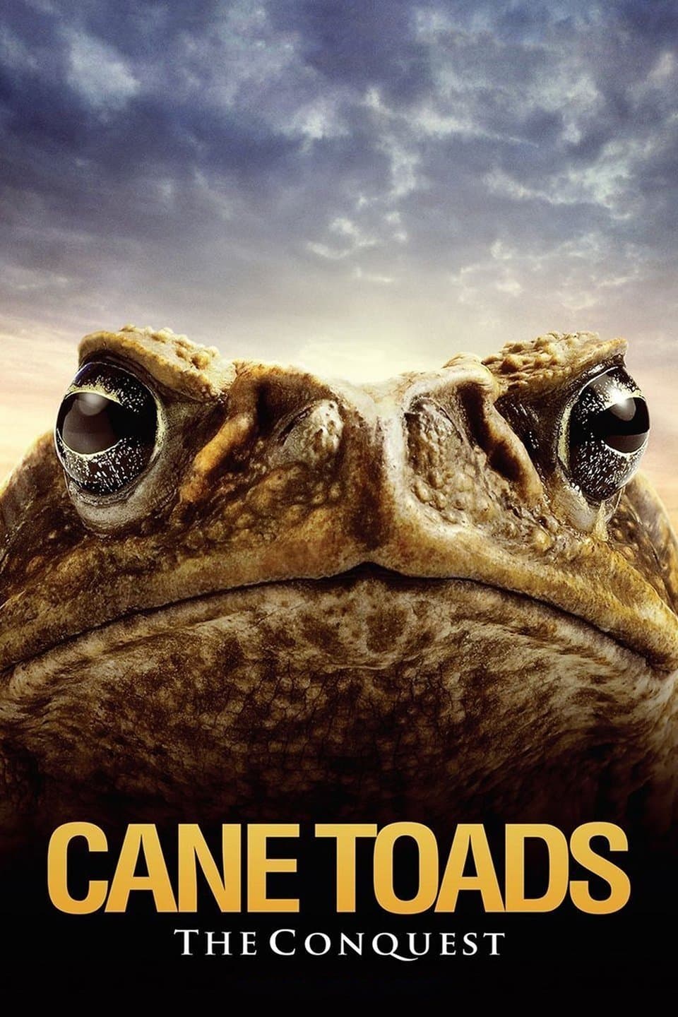 Poster Cane Toads: The Conquest