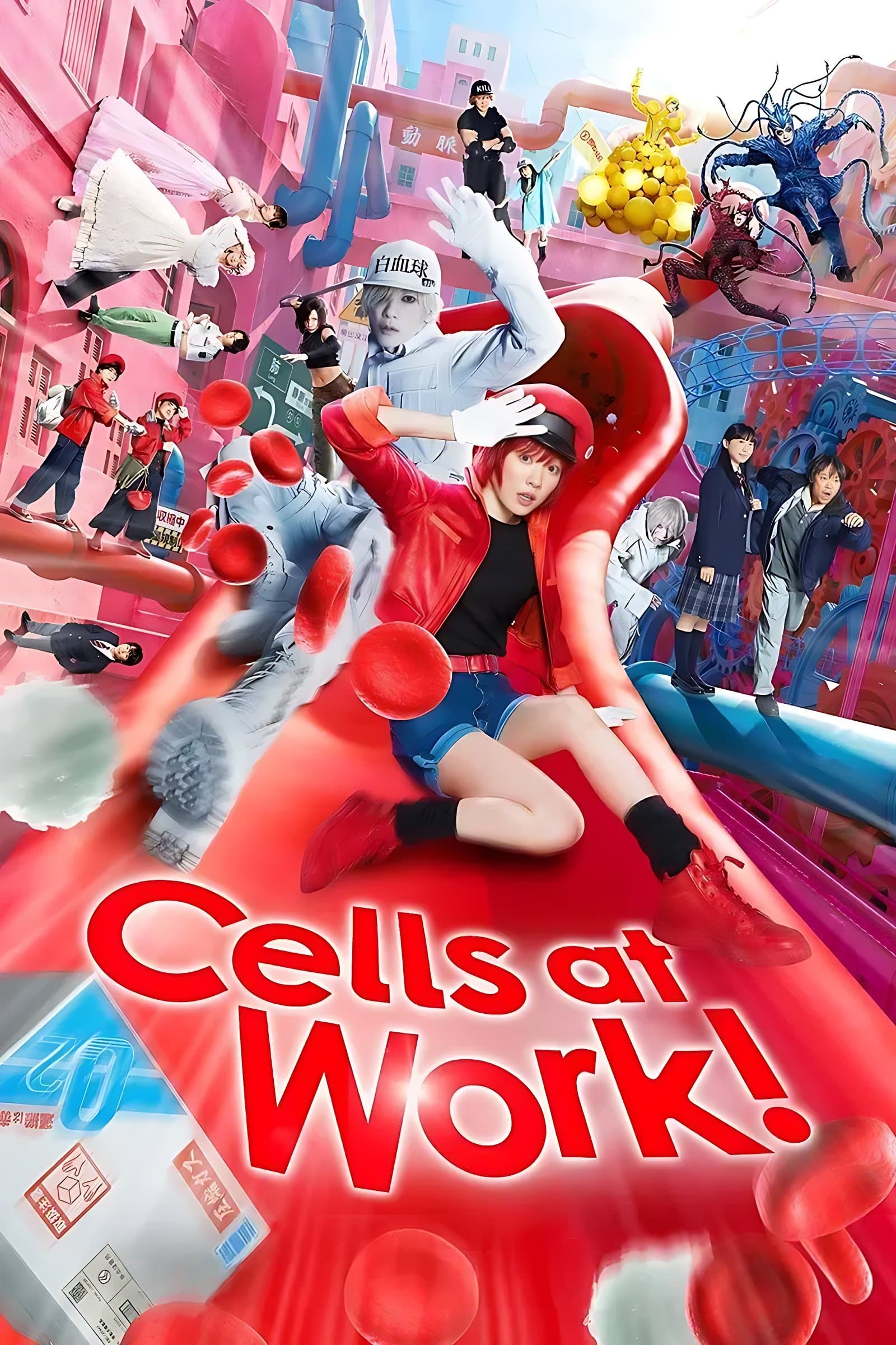 Poster Cells at Work!