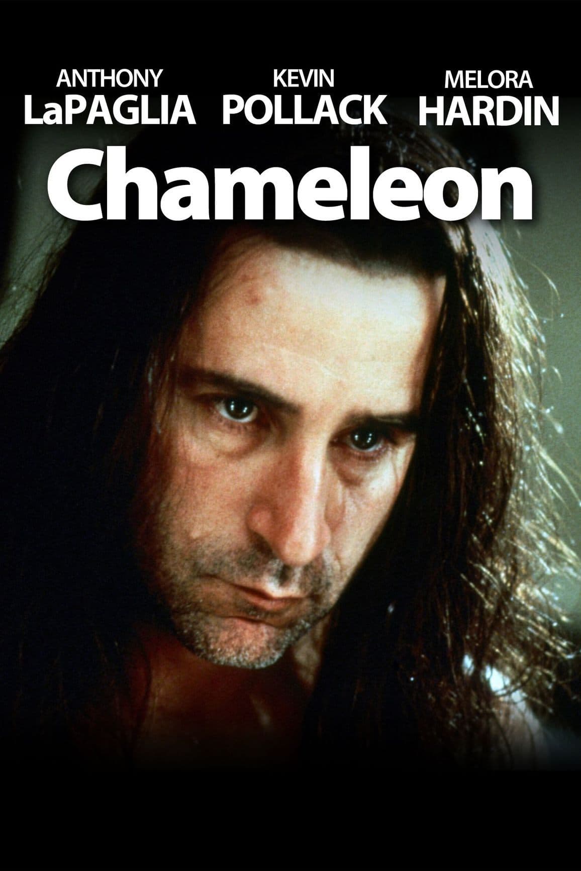 Poster Chameleon