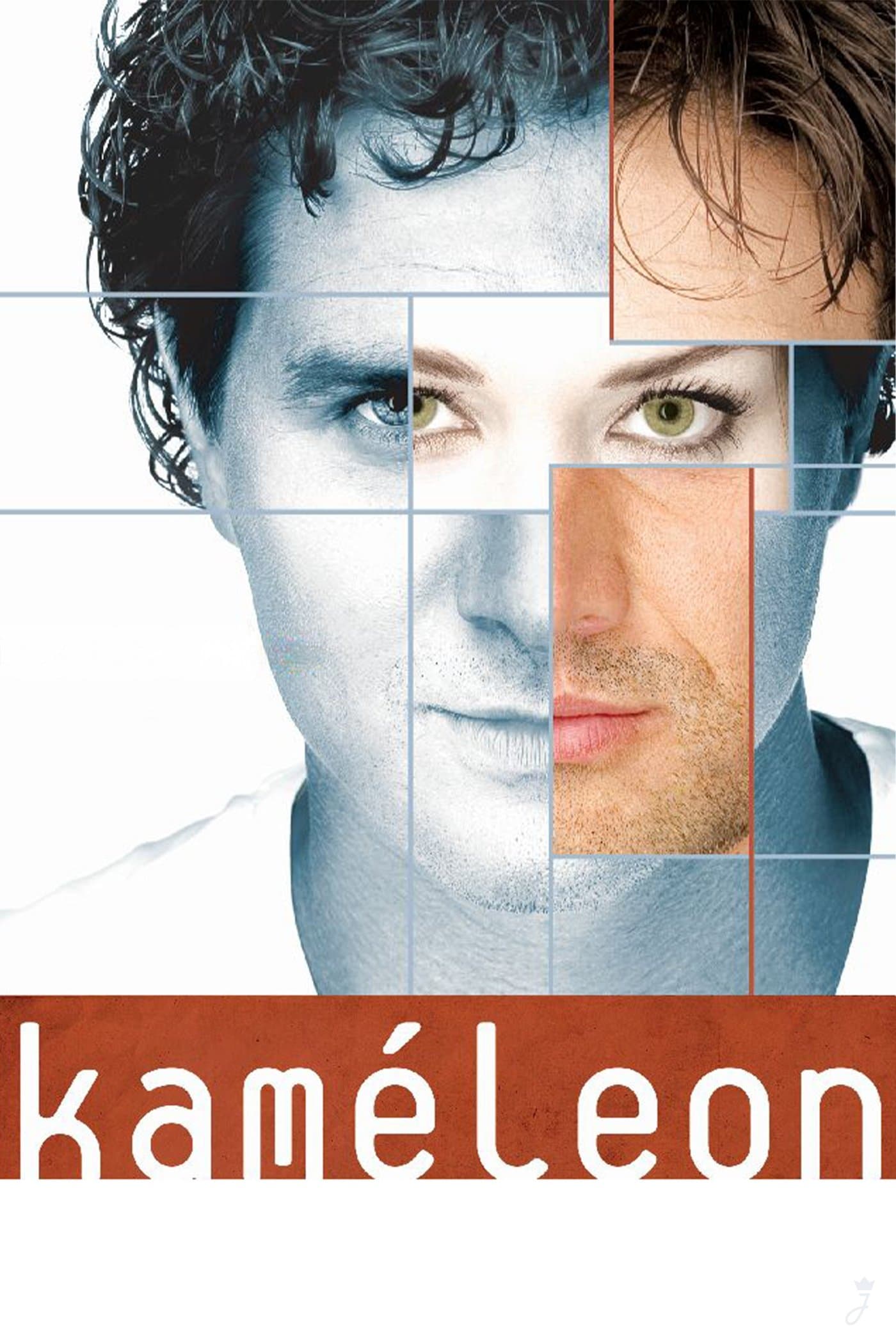 Poster Chameleon