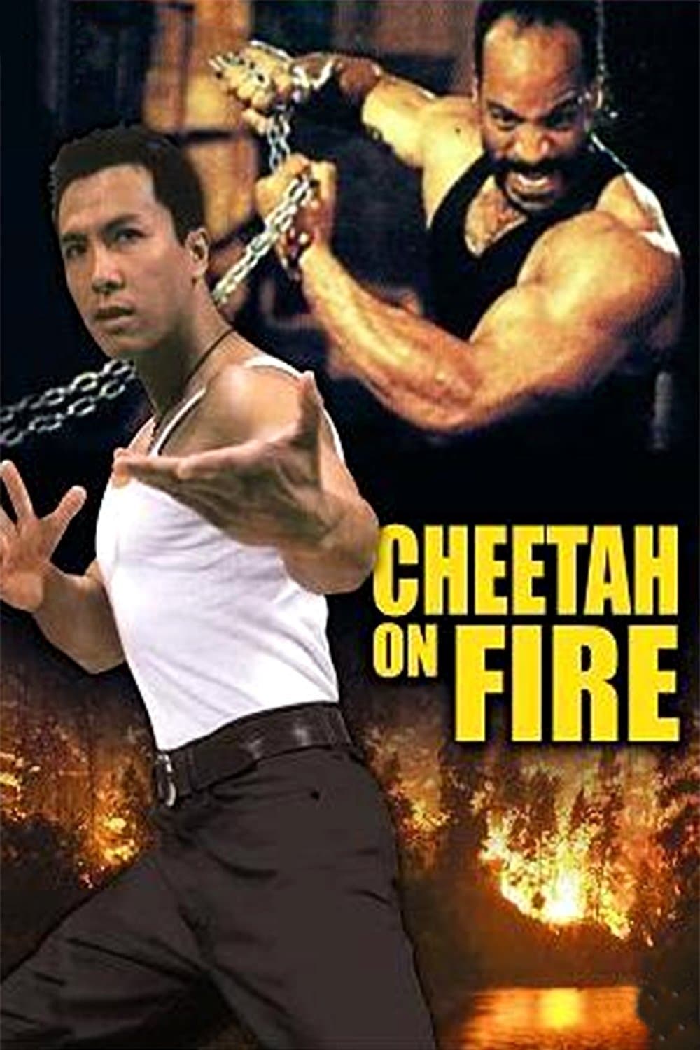 Poster Cheetah on Fire