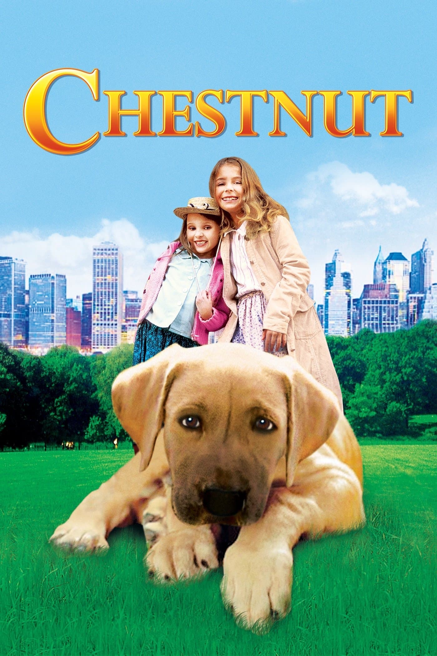 Poster Chestnut: Hero of Central Park