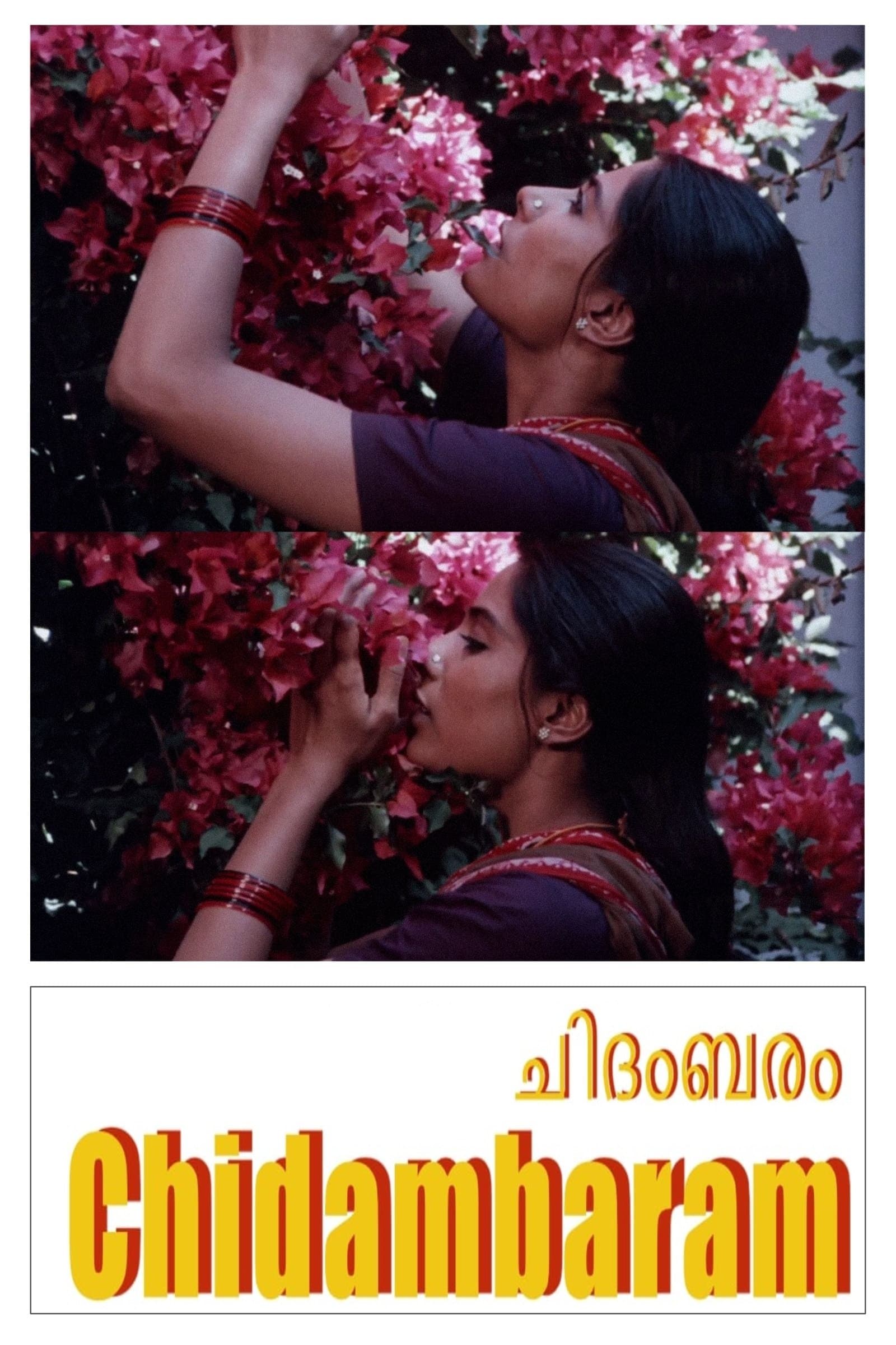 Poster Chidambaram