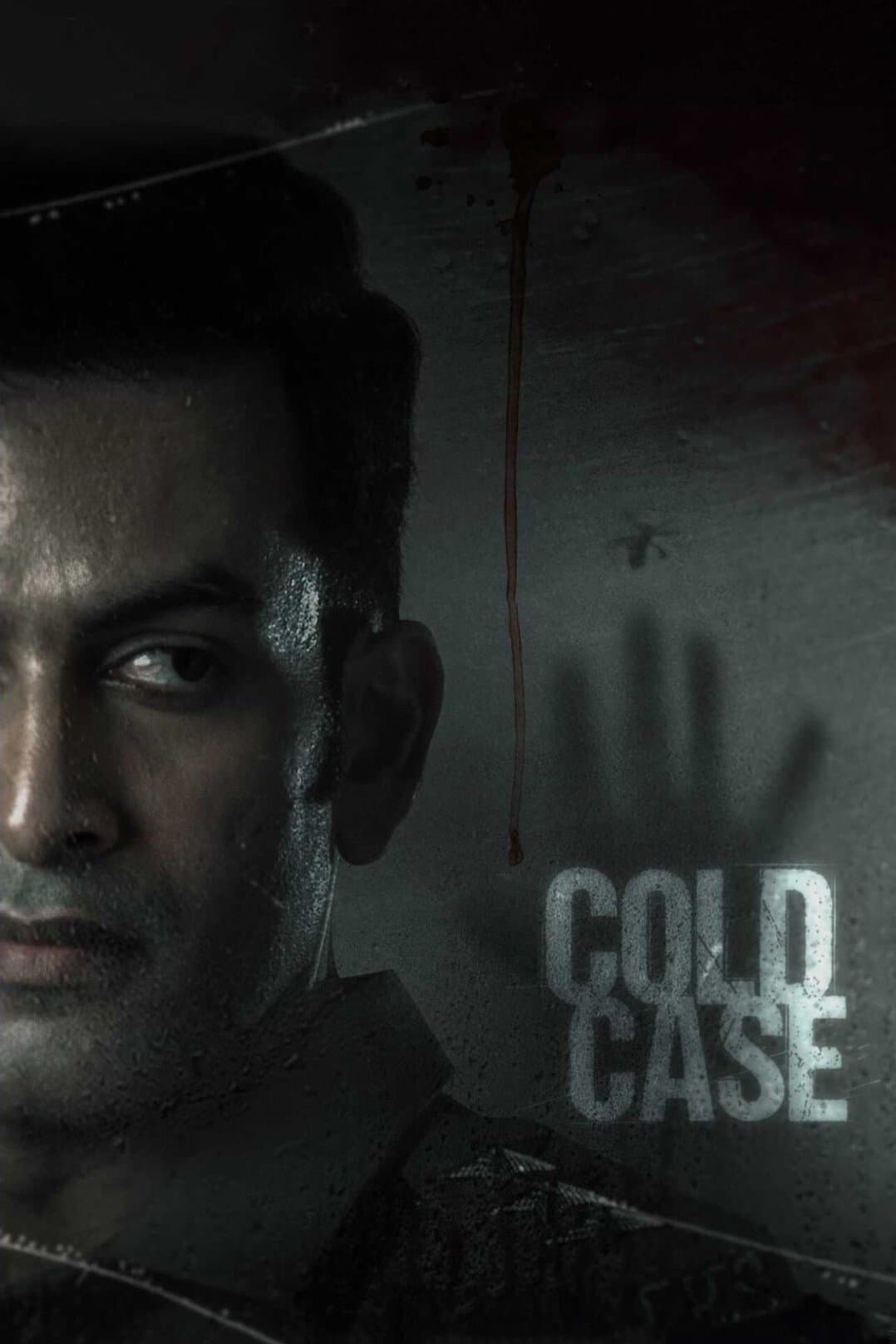 Poster Cold Case