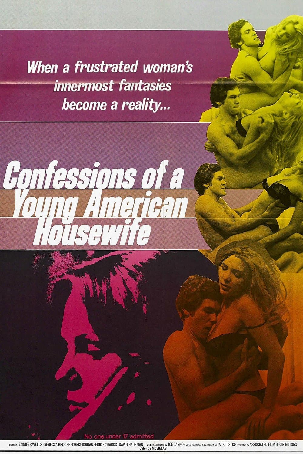 Poster Confessions of a Young American Housewife
