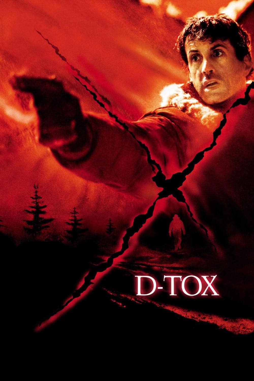 Poster D-Tox