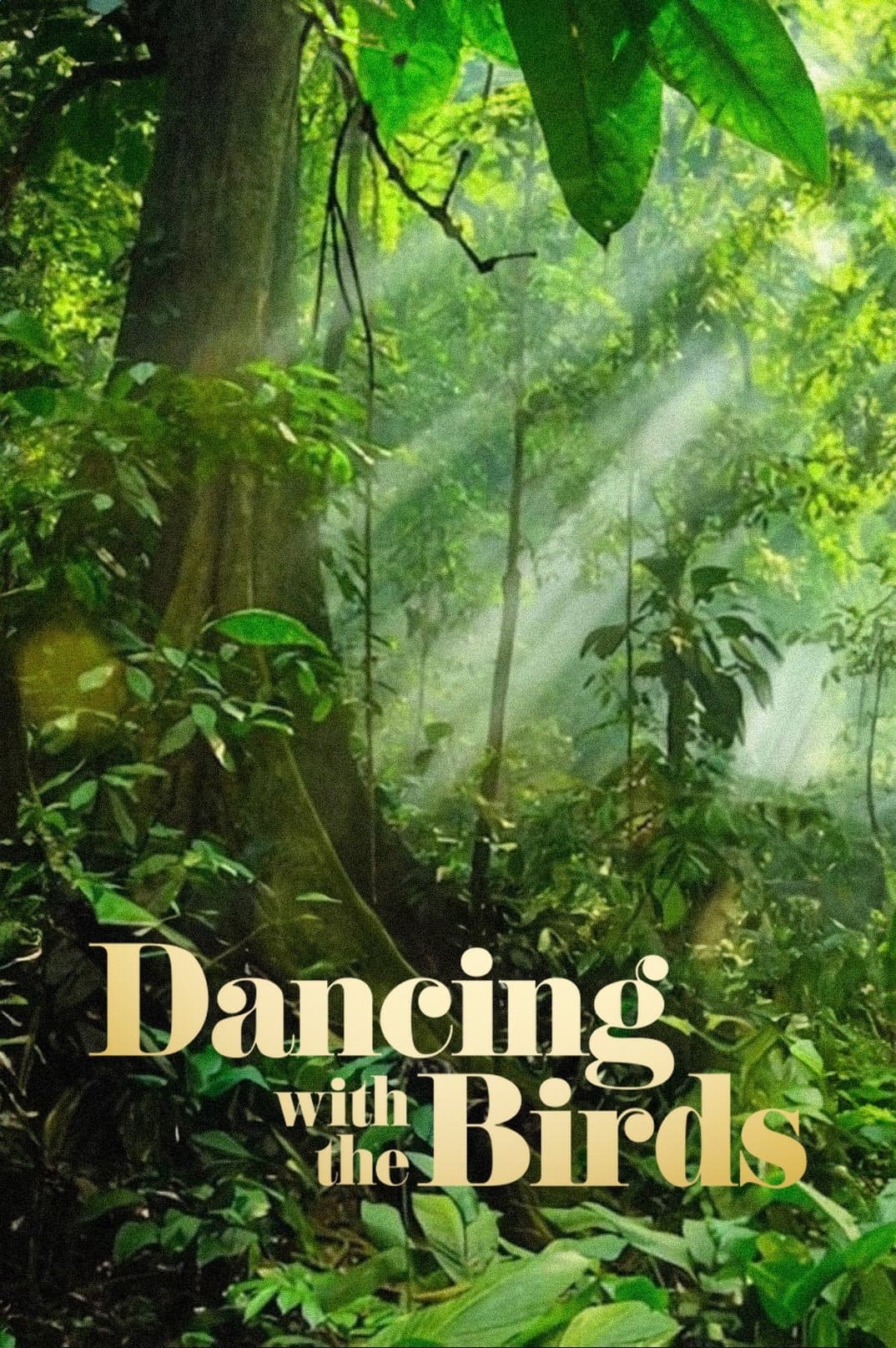 Poster Dancing with the Birds