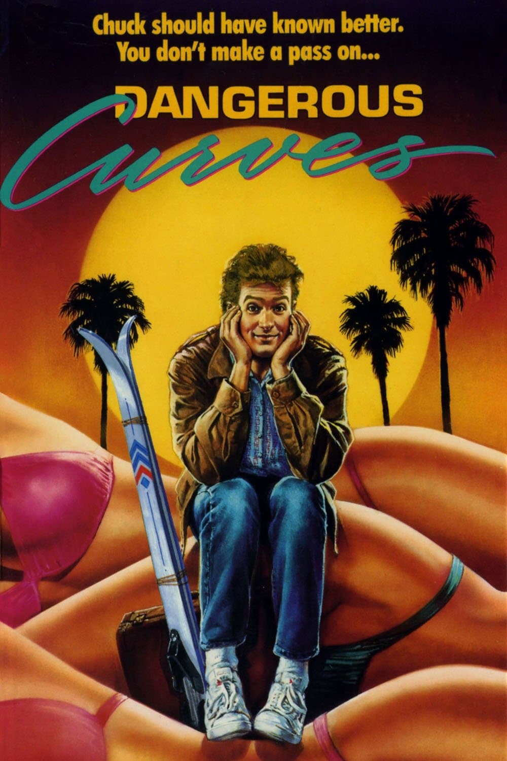 Poster Dangerous Curves