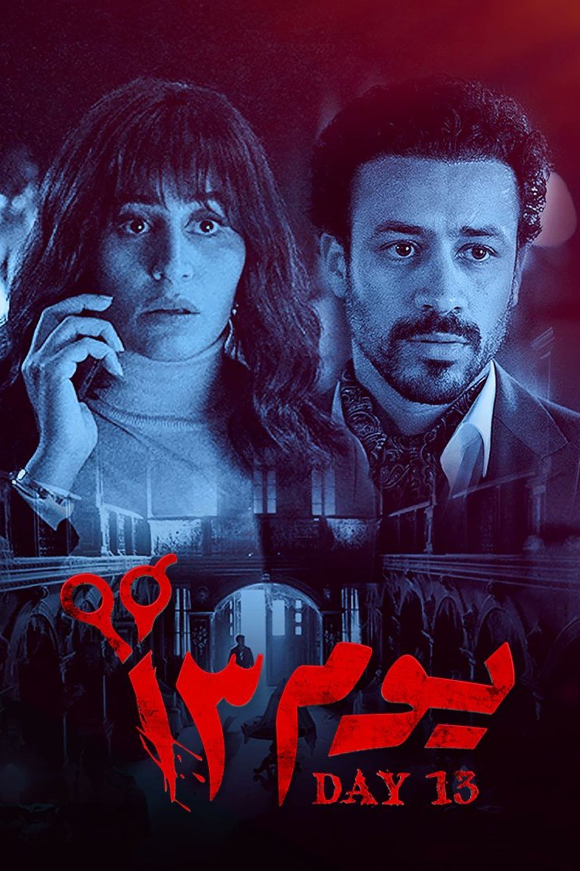 Poster Day 13