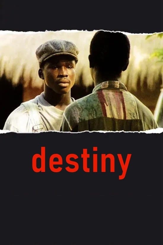 Poster Destiny